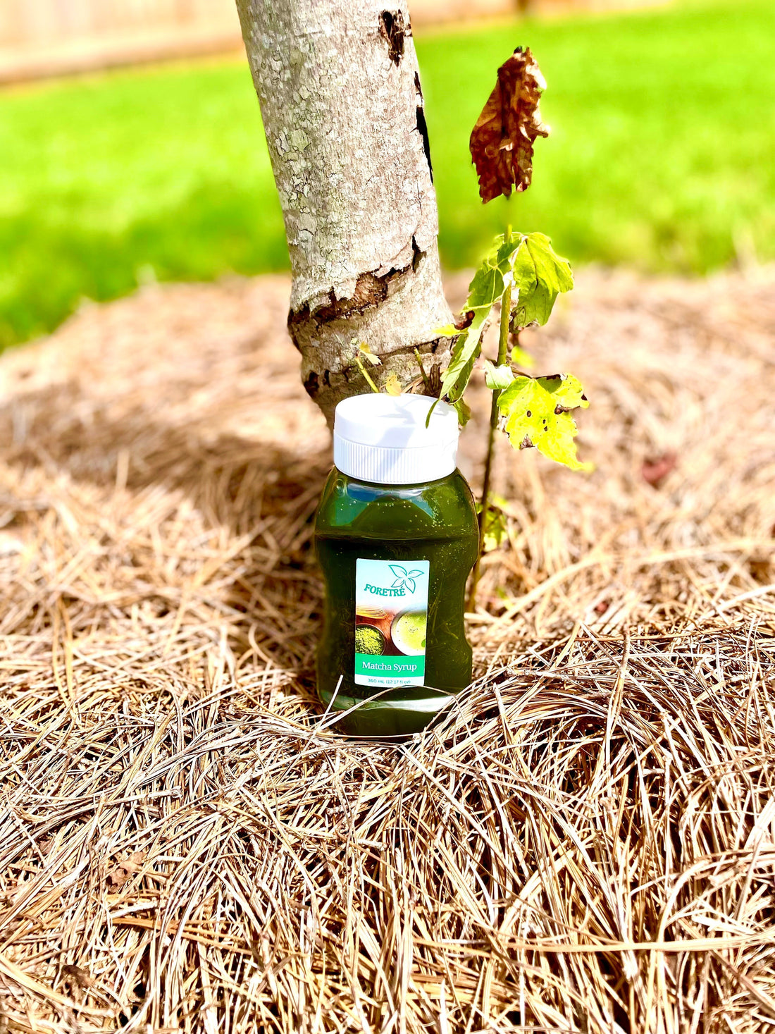 Discover Foretré Matcha Syrups: Japanese Flavors for Lattes, Bubble Tea & Desserts