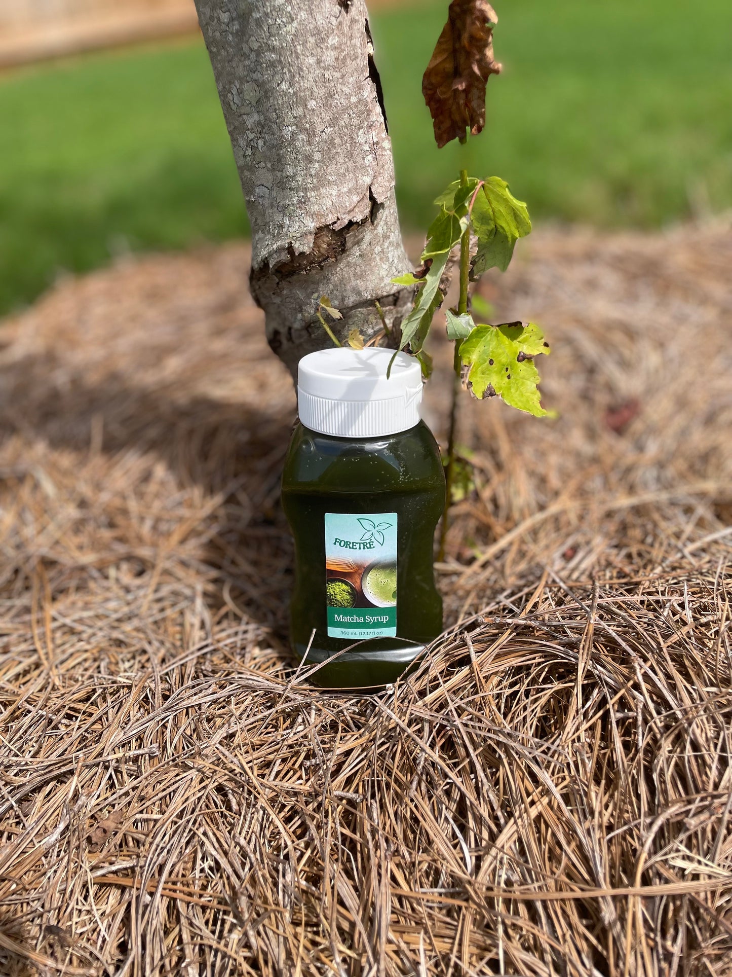 Matcha Syrup – 12 oz | Foretrè Matcha - Foretrè Matcha