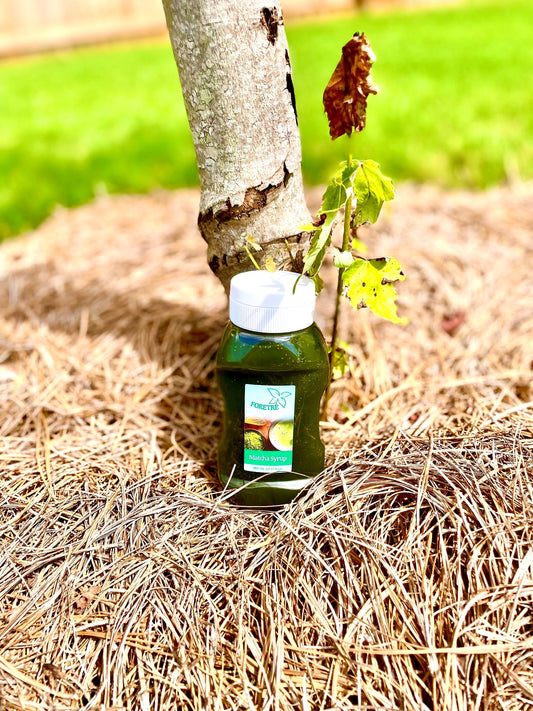 Discover Foretré Matcha Syrups: Japanese Flavors for Lattes, Bubble Tea & Desserts