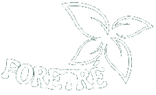 Foretrè Matcha